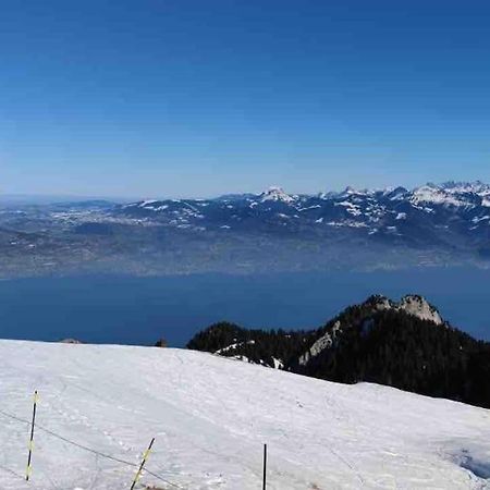 Studio Myrtilles Du Leman Vue Sur Lac Et Montagne 톨롱 외부 사진