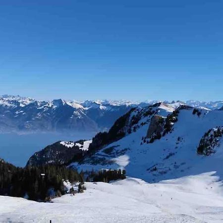 Studio Myrtilles Du Leman Vue Sur Lac Et Montagne 톨롱 외부 사진