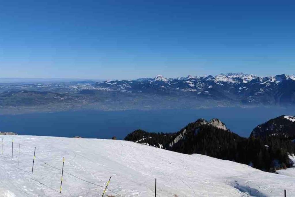 Studio Myrtilles Du Leman Vue Sur Lac Et Montagne 톨롱 외부 사진
