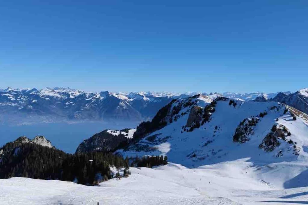 Studio Myrtilles Du Leman Vue Sur Lac Et Montagne 톨롱 외부 사진