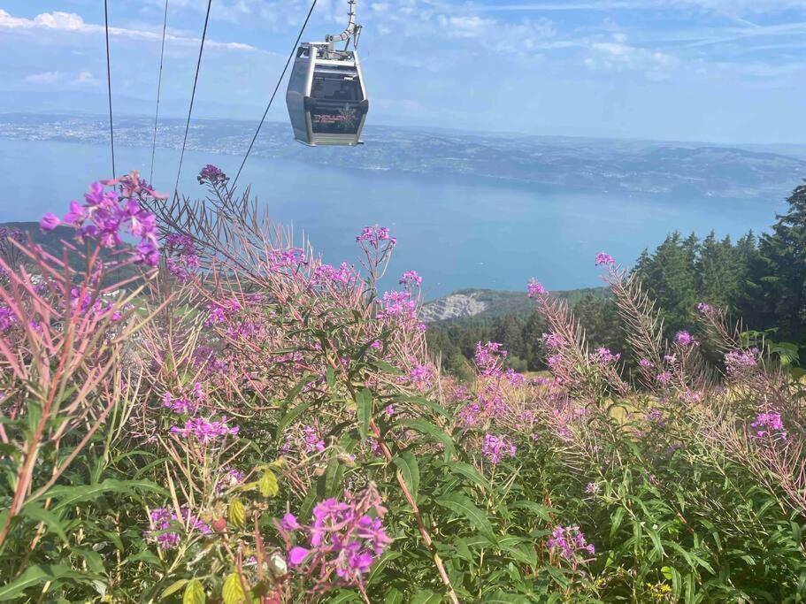 Studio Myrtilles Du Leman Vue Sur Lac Et Montagne 톨롱 외부 사진